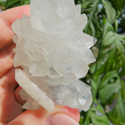 Sugar Apophyllite with Stilbite #55F