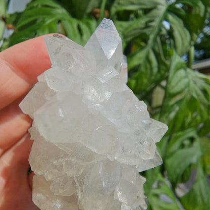 Sugar Apophyllite with Stilbite #55F