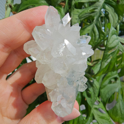 Sugar Apophyllite with Stilbite #55F