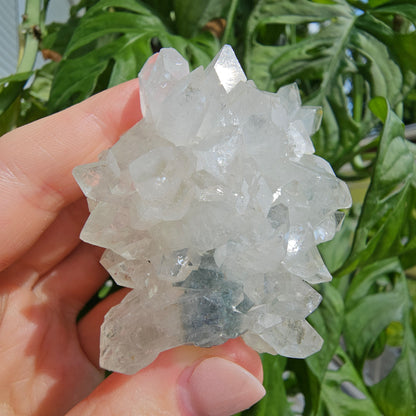 Sugar Apophyllite with Stilbite #55F