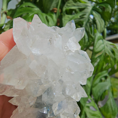 Sugar Apophyllite with Stilbite #55F