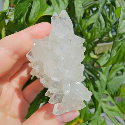 Sugar Apophyllite with Stilbite #55F