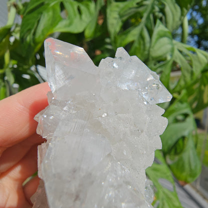 Sugar Apophyllite on Calcite #B49