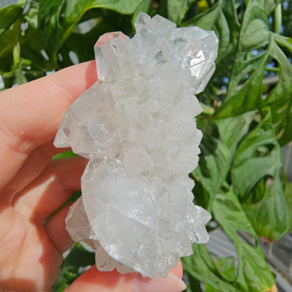 Sugar Apophyllite on Calcite #B49