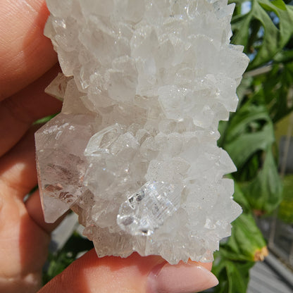 Sugar Apophyllite on Calcite #B49