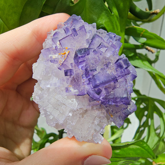 Purple Fluorite Specimen #175L