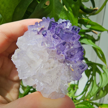 Purple Fluorite Specimen #175L