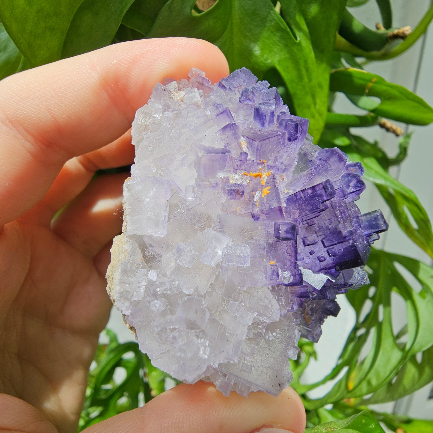 Purple Fluorite Specimen #175L