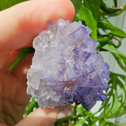 Purple Fluorite Specimen #175L