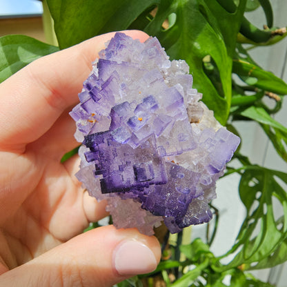 Purple Fluorite Specimen #175L