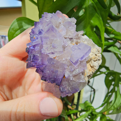 Purple Fluorite Specimen #175L