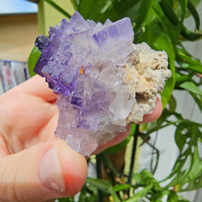 Purple Fluorite Specimen #175L