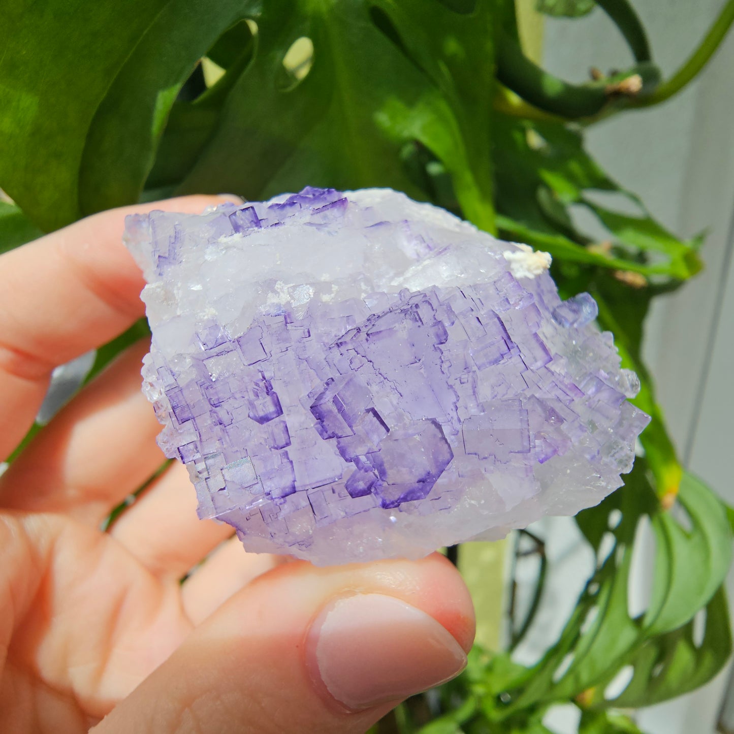 Purple Fluorite Specimen #199K