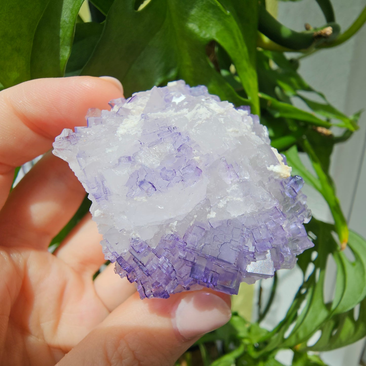 Purple Fluorite Specimen #199K