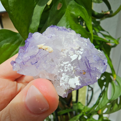 Purple Fluorite Specimen #199K