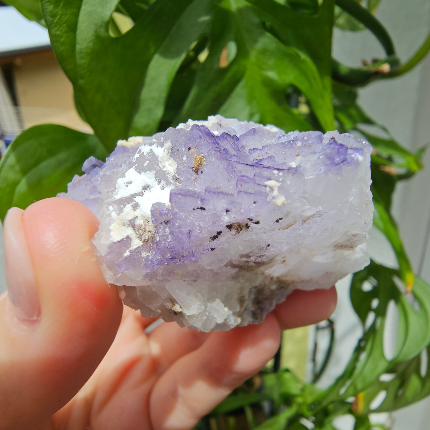 Purple Fluorite Specimen #199K