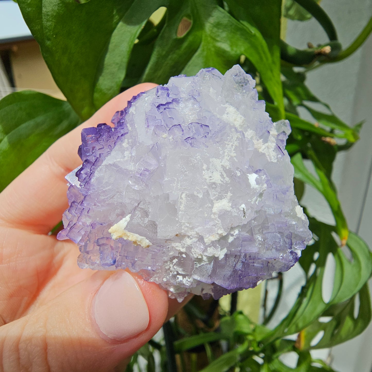 Purple Fluorite Specimen #199K