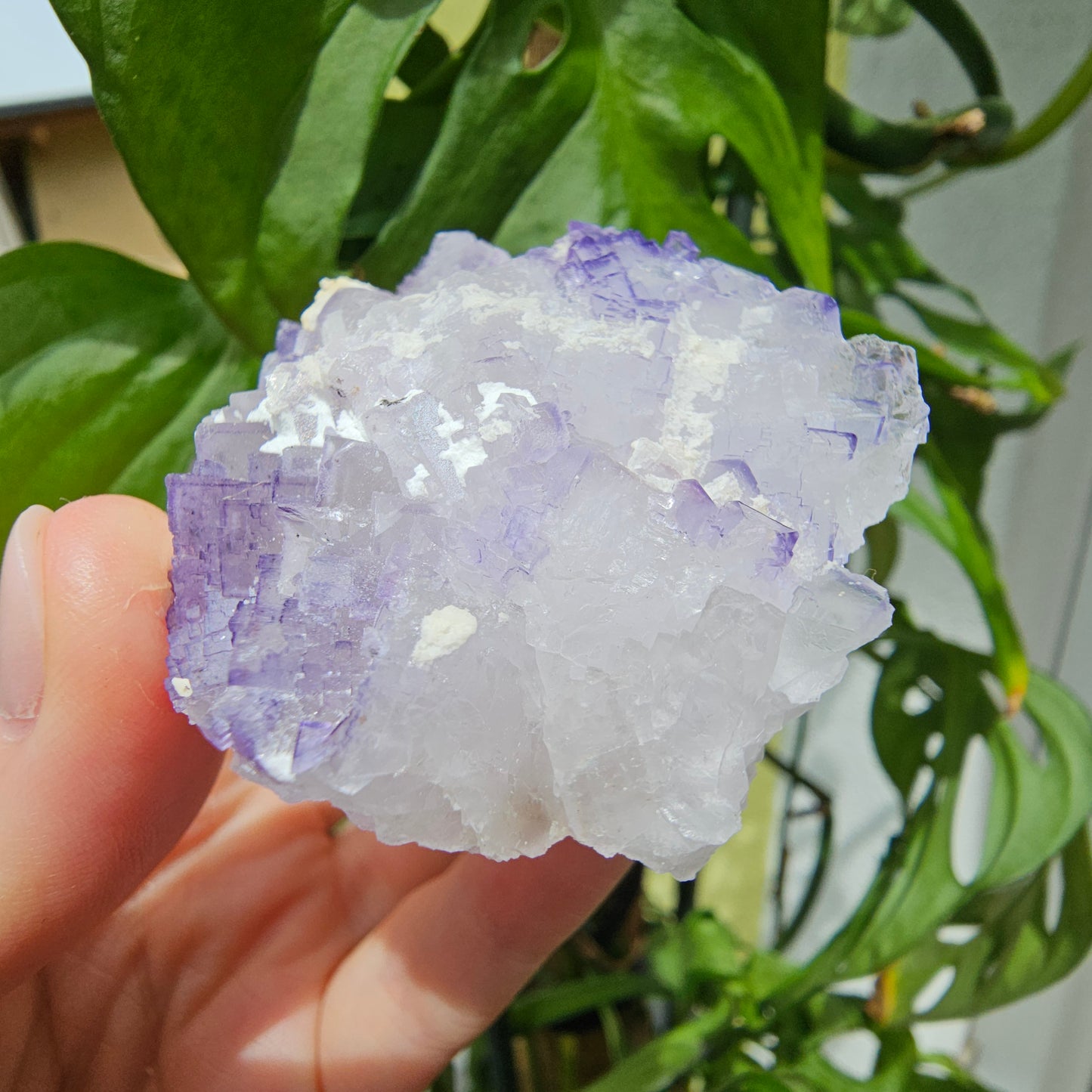 Purple Fluorite Specimen #199K