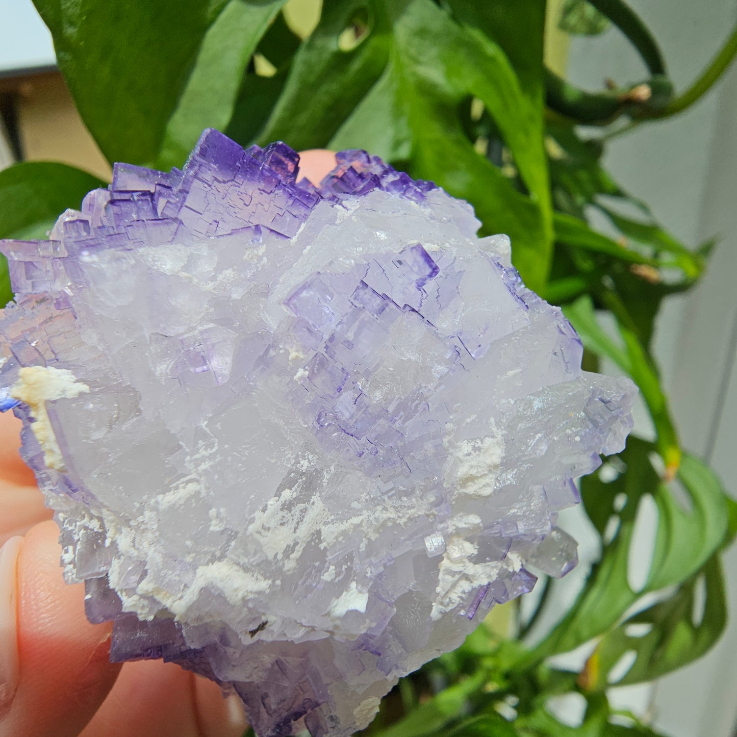 Purple Fluorite Specimen #199K