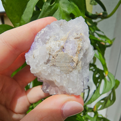 Purple Fluorite Specimen #199K