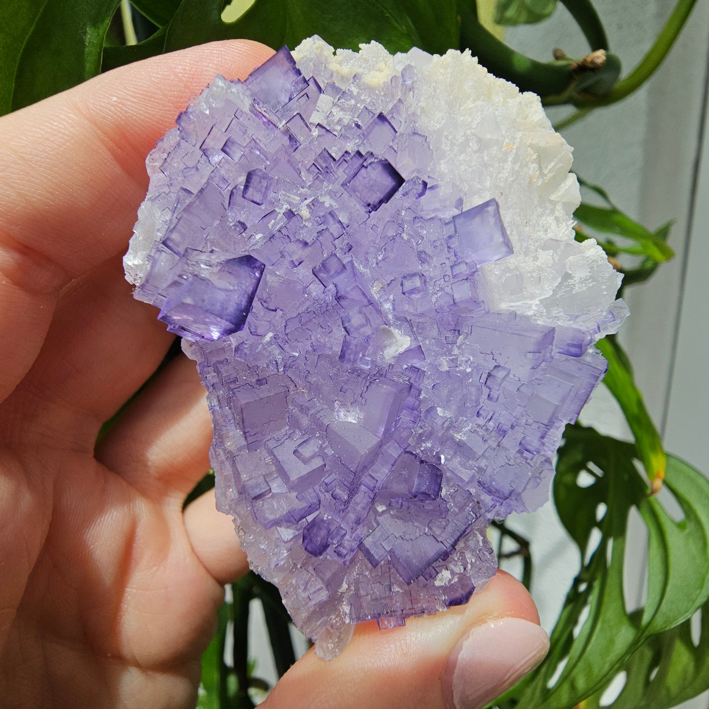 Purple Fluorite Specimen #210J