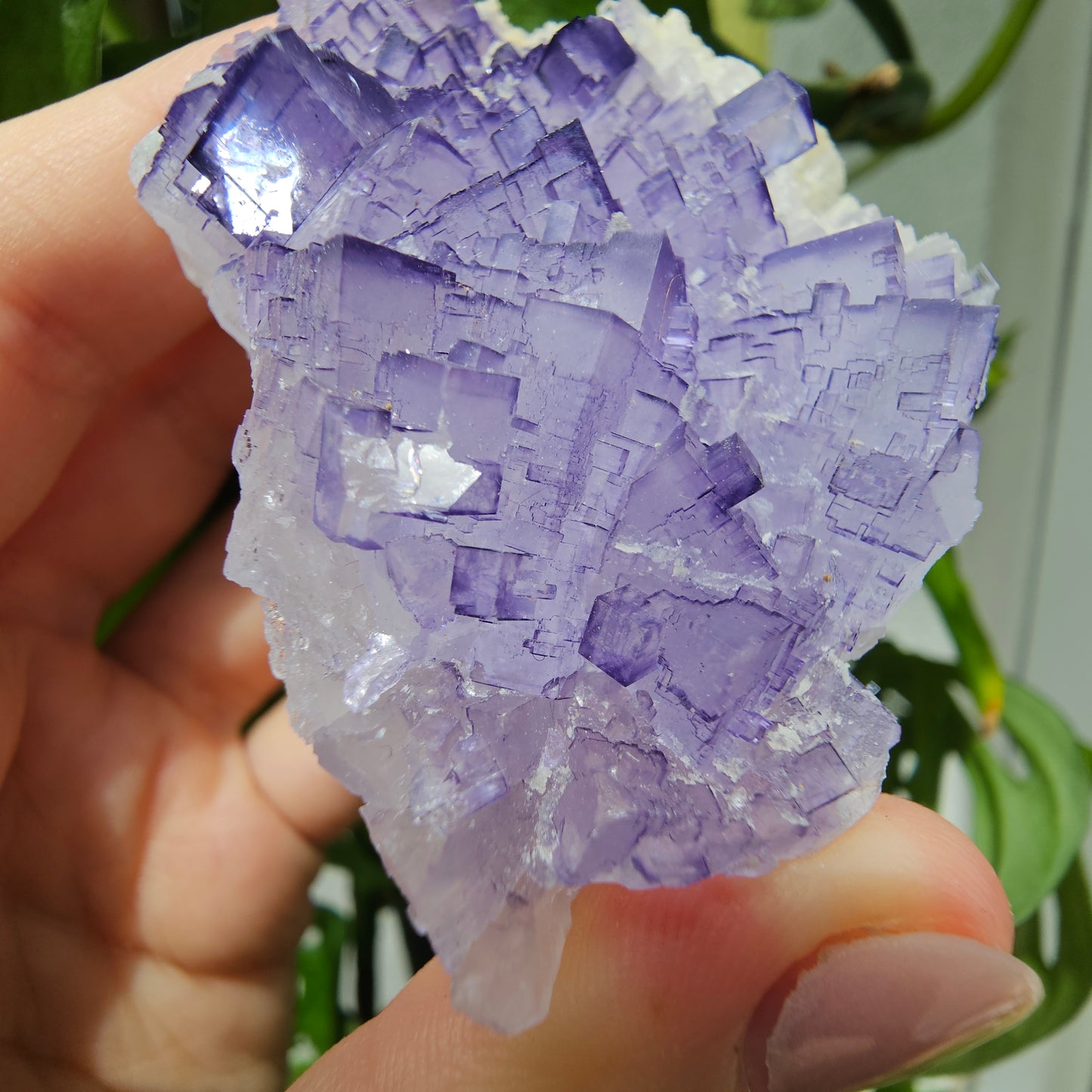 Purple Fluorite Specimen #210J