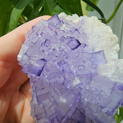 Purple Fluorite Specimen #210J