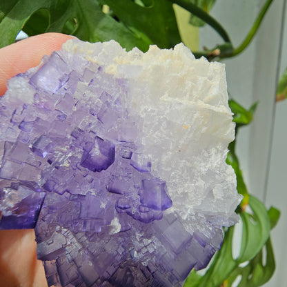 Purple Fluorite Specimen #210J