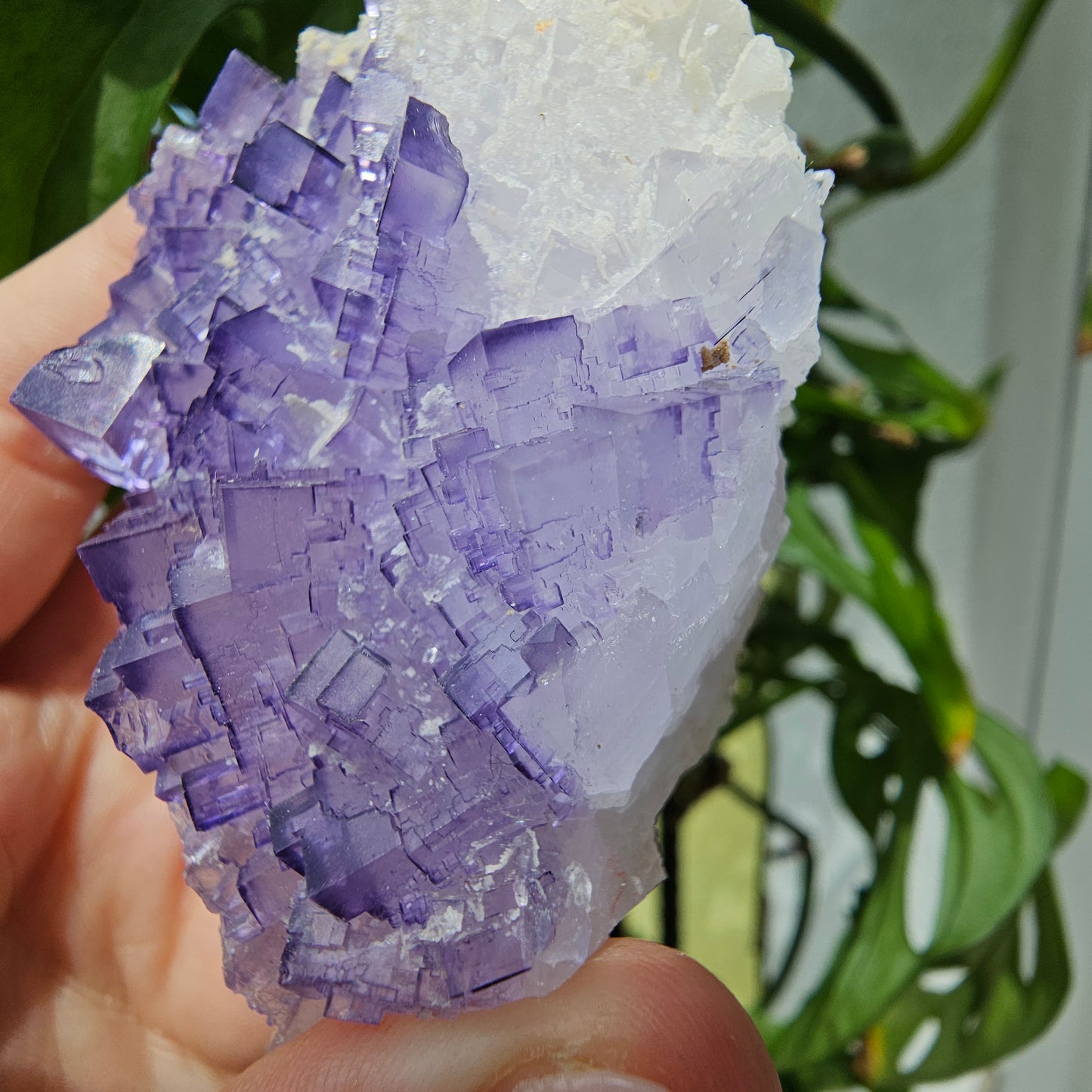 Purple Fluorite Specimen #210J