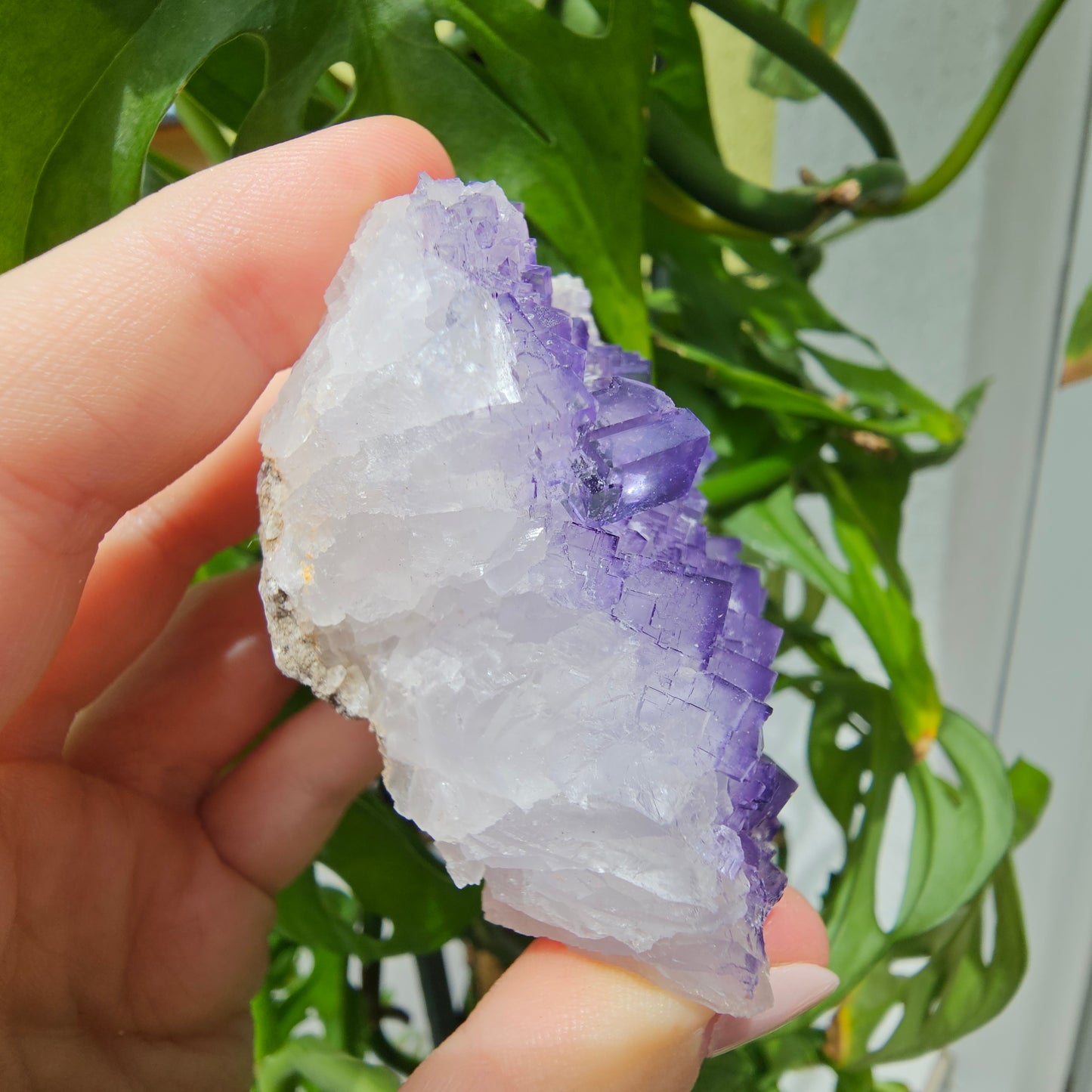 Purple Fluorite Specimen #210J