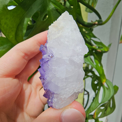 Purple Fluorite Specimen #210J