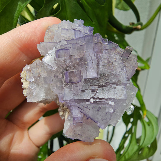 Purple Fluorite Specimen #125C