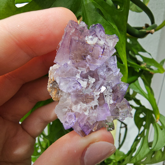 Purple Fluorite Specimen #49f