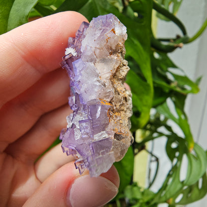 Purple Fluorite Specimen #49f