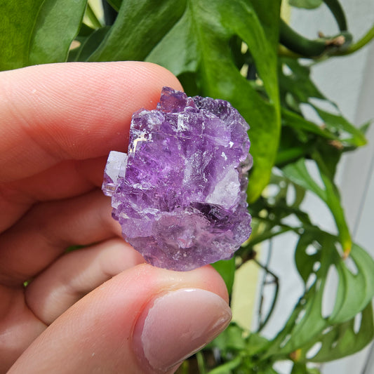 Purple Fluorite Specimen #29n