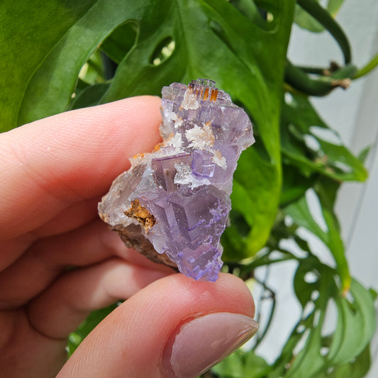 Purple Fluorite Specimen #27g