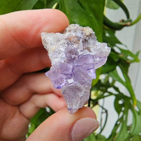 Purple Fluorite Specimen #48A