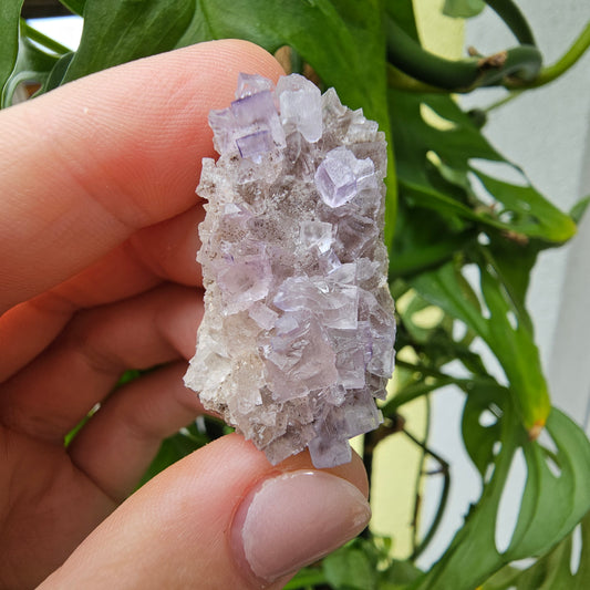 Purple Fluorite Specimen #39B