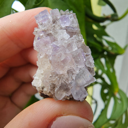 Purple Fluorite Specimen #39B