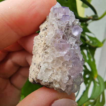 Purple Fluorite Specimen #39B