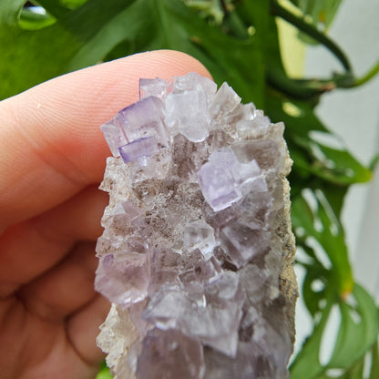 Purple Fluorite Specimen #39B