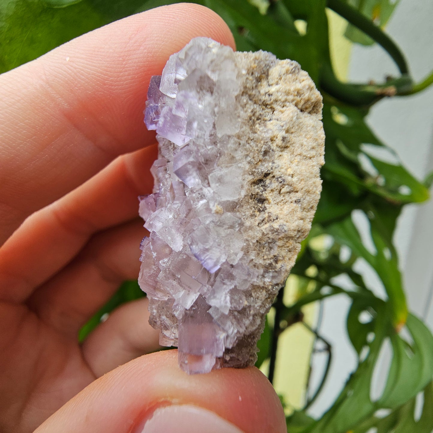 Purple Fluorite Specimen #39B