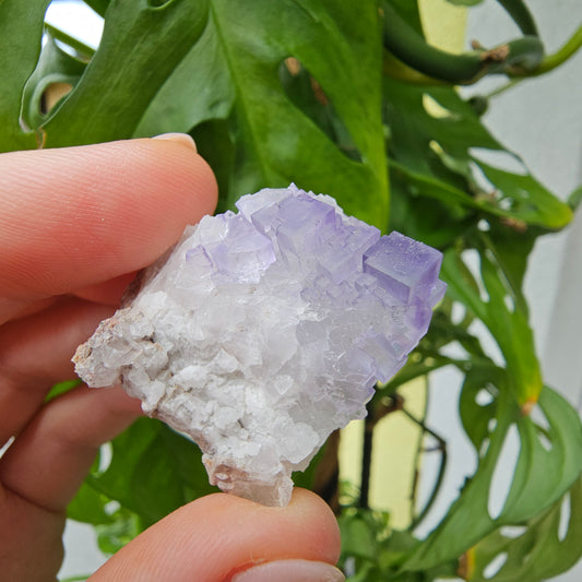 Purple Fluorite Specimen #48C