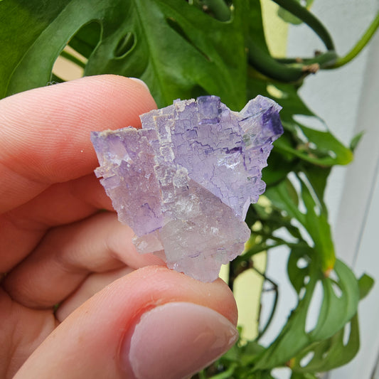 Purple Fluorite Specimen #29D