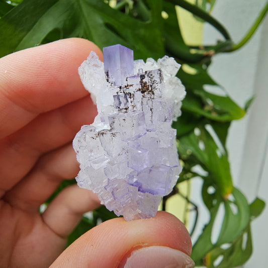 Purple Fluorite Specimen #35E