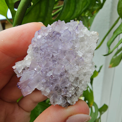 Purple Fluorite Specimen #45G