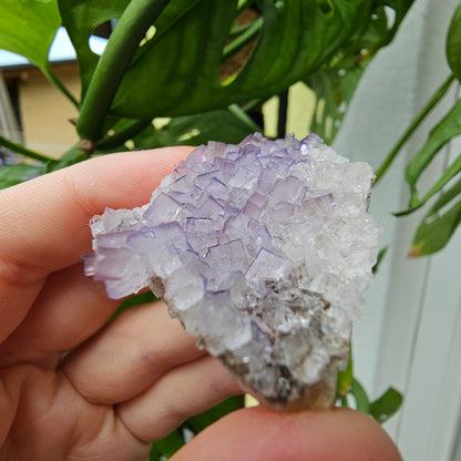 Purple Fluorite Specimen #45G