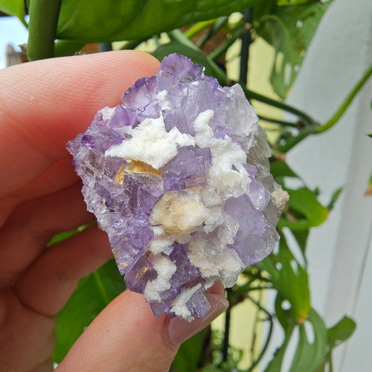 Purple Fluorite Specimen #57H