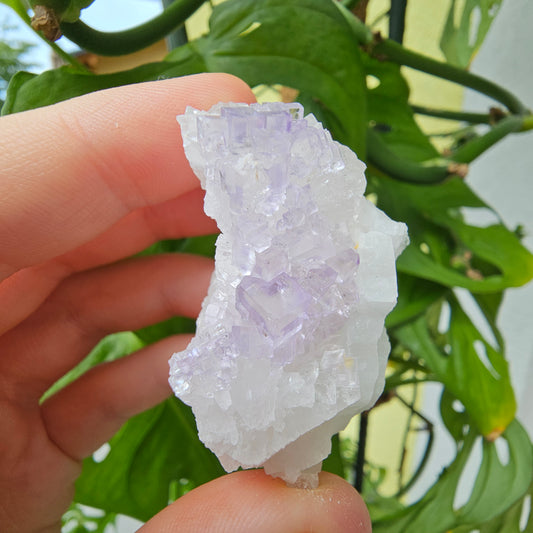 Purple Fluorite Specimen #69i