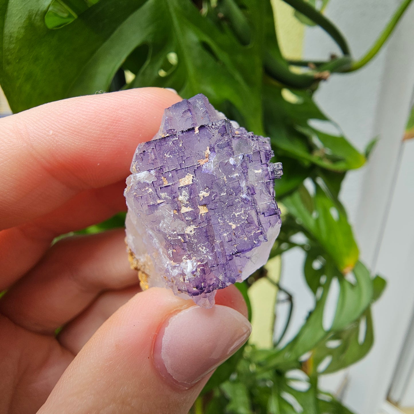 Purple Fluorite Specimen #31K